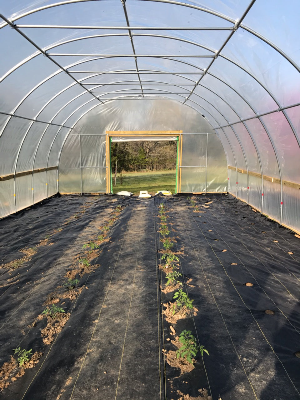 20' (W) x 12' (L) Standard Greenhouse Kit