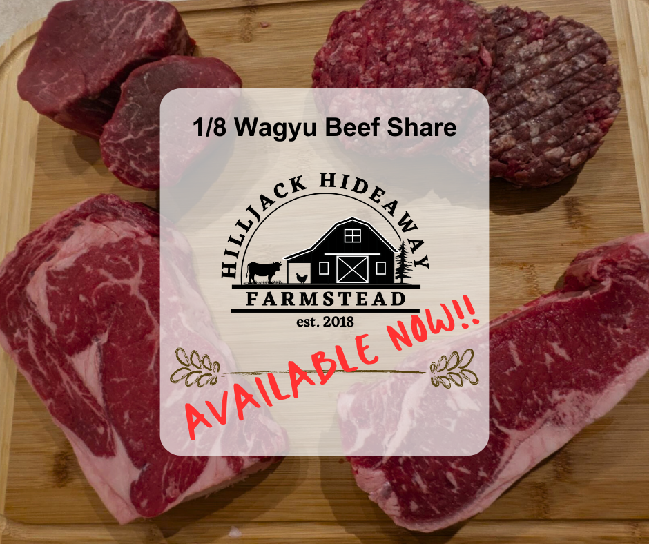 1/8 Wagyu Beef Share: Available NOW!!